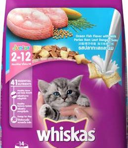 Whiskas Kitten (2-12 months) Fish 1.1 kg Dry Young Cat Food