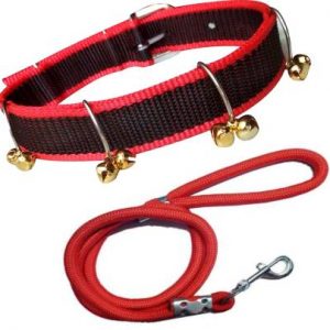 BODY BUILDING Good Quality Dog Belt Combo of Red